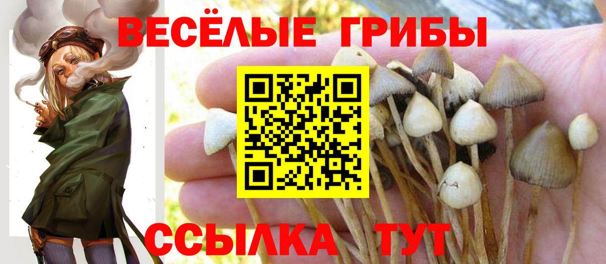 Бутират Рубцовск