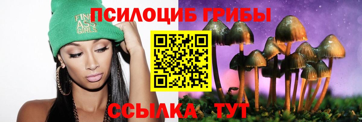 Галлюциногенные грибы прущие грибы  Галлюциногенные грибы Magic Shrooms  Вход с VPN  Рубцовск 